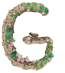 Medicare Plan G High Deductible