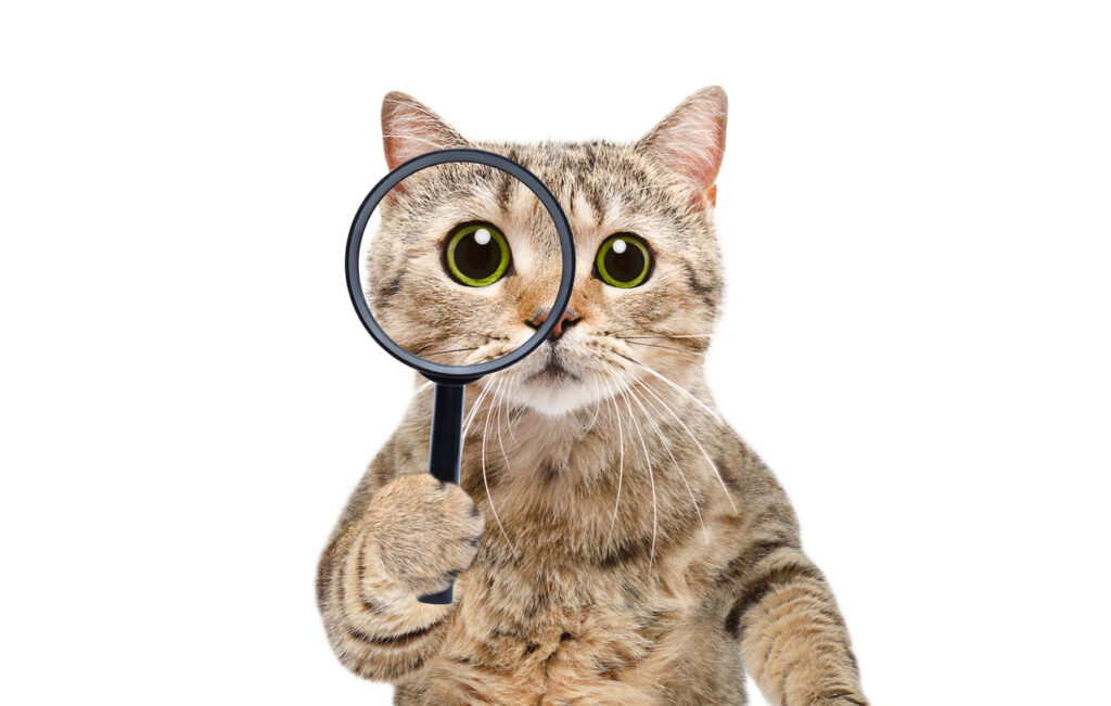 Understanding Your Medicare Plan ANOC