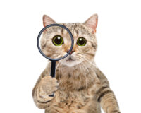 Understanding Your Medicare Plan ANOC